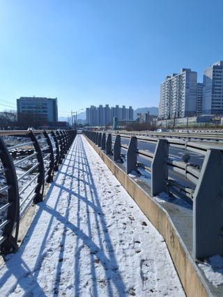 MSG0074님의 자유주제 · 자유게시판 작성글 사진