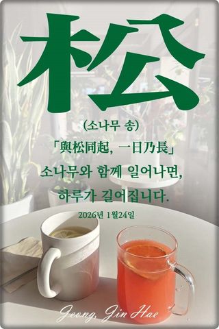 정진해님의 자유주제 · 자유게시판 작성글 사진