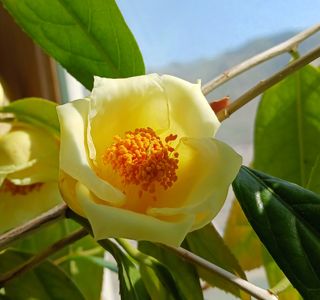 신현철님의 자유주제 · 자유게시판 작성글 사진