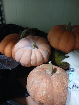 도토리아줌마님의 자유주제 · 자유게시판 작성글 사진