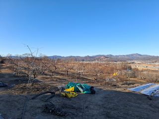 철남 김희곤님의 자유주제 · 자유게시판 작성글 사진