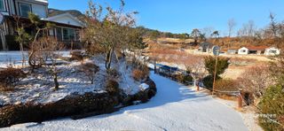 달맛햇복숭아농원님의 자유주제 · 자유게시판 작성글 사진