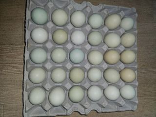 황강섭(낭산선인)님의 자유주제 · 자유게시판 작성글 사진