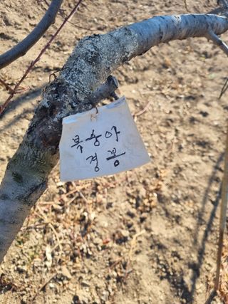 김용대님의 자유주제 · 자유게시판 작성글 사진