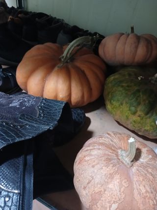 도토리아줌마님의 자유주제 · 자유게시판 작성글 사진