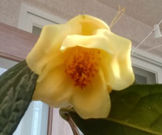 신현철님의 자유주제 · 자유게시판 작성글 사진