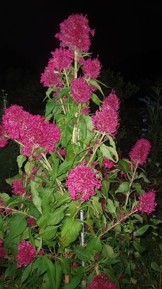 오다가다님의 자유주제 · 자유게시판 작성글 사진