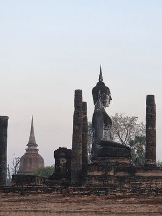 최동수님의 자유주제 · 자유게시판 작성글 사진