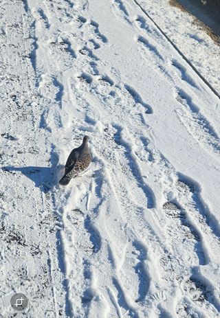 민민농원님의 자유주제 · 자유게시판 작성글 사진