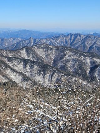 민민농원님의 자유주제 · 자유게시판 작성글 사진