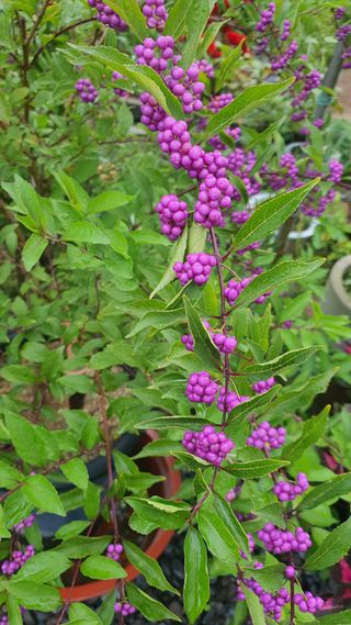 오다가다님의 자유주제 · 자유게시판 작성글 사진