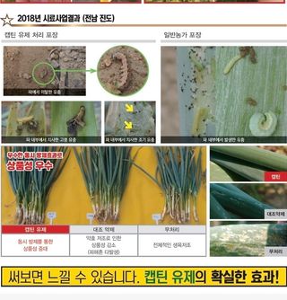 대산농사대장님의 고추 · 비료•농약 작성글 사진