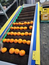 팜모닝 자유주제·자유게시판 게시글 이미지