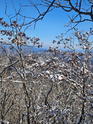 민민농원님의 자유주제 · 자유게시판 작성글 사진