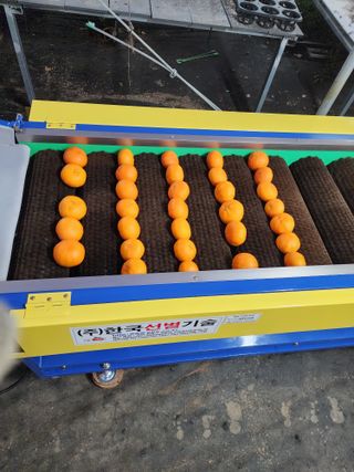 제주부자팜님의 자유주제 · 자유게시판 작성글 사진