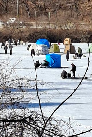 MSG0074님의 자유주제 · 자유게시판 작성글 사진