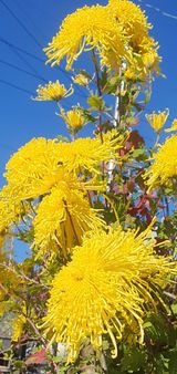 팜모닝 자유주제·자유게시판 게시글 이미지