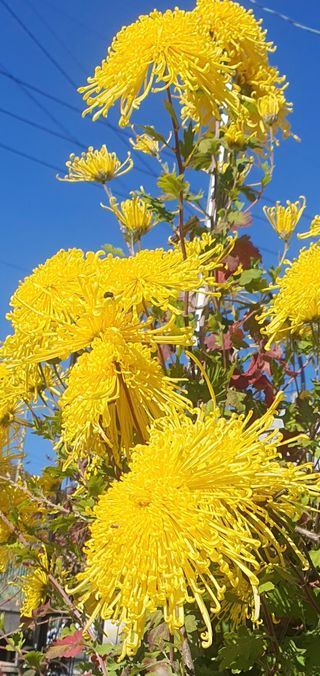 오다가다님의 자유주제 · 자유게시판 작성글 사진