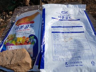 오늘 이순간님의 자유주제 · 자유게시판 작성글 사진