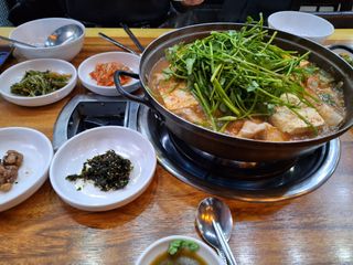 MSG0074님의 자유주제 · 자유게시판 작성글 사진