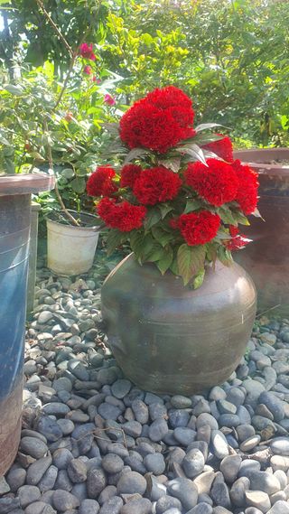 오다가다님의 자유주제 · 자유게시판 작성글 사진