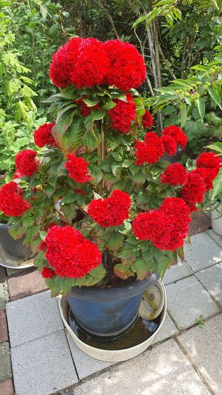 오다가다님의 자유주제 · 자유게시판 작성글 사진