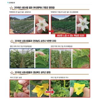 대산농사대장님의 고추 · 비료•농약 작성글 사진