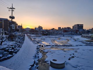 MSG0074님의 자유주제 · 자유게시판 작성글 사진