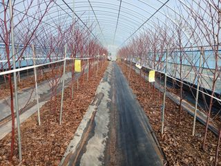 오늘 이순간님의 자유주제 · 자유게시판 작성글 사진