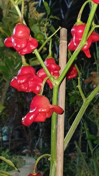 오다가다님의 자유주제 · 자유게시판 작성글 사진