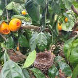 팜모닝 자유주제·사진전 게시글 이미지