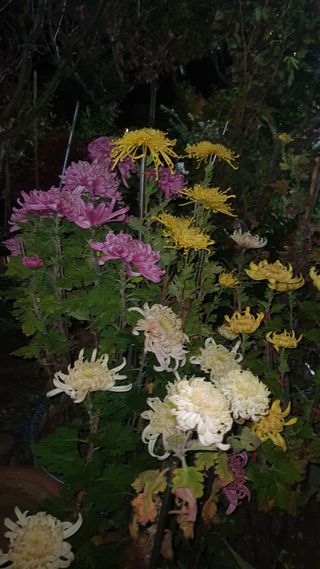 오다가다님의 자유주제 · 자유게시판 작성글 사진