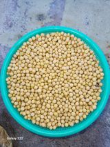 팜모닝 · 게시글 이미지