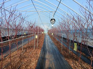 오늘 이순간님의 자유주제 · 자유게시판 작성글 사진