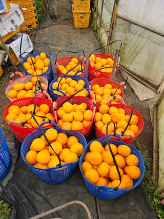 예준예성빠님의 자유주제 · 자유게시판 작성글 사진
