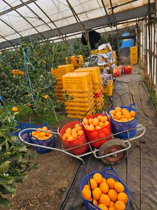 예준예성빠님의 자유주제 · 자유게시판 작성글 사진