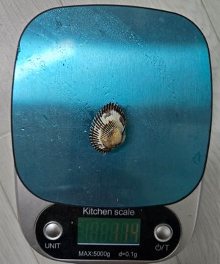 김성균님의 자유주제 · 자유게시판 작성글 사진