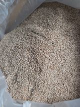 팜모닝 · 게시글 이미지