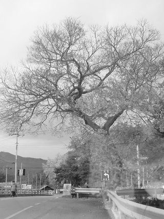 김상진님의 자유주제 · 자유게시판 작성글 사진