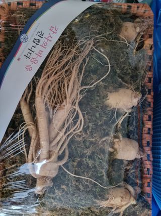 모두팜님의 작성글 사진