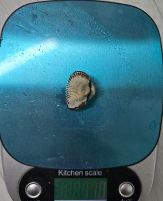 김성균님의 자유주제 · 자유게시판 작성글 사진