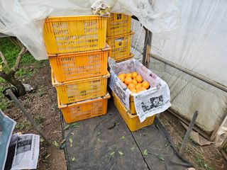 예준예성빠님의 자유주제 · 자유게시판 작성글 사진