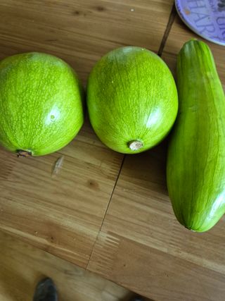 귤19190님의 작성글 사진