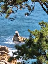 팜모닝 자유주제·자유게시판 게시글 이미지