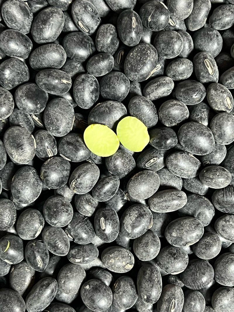 장터 상품 [서리태(검은콩) 1kg] 썸네일