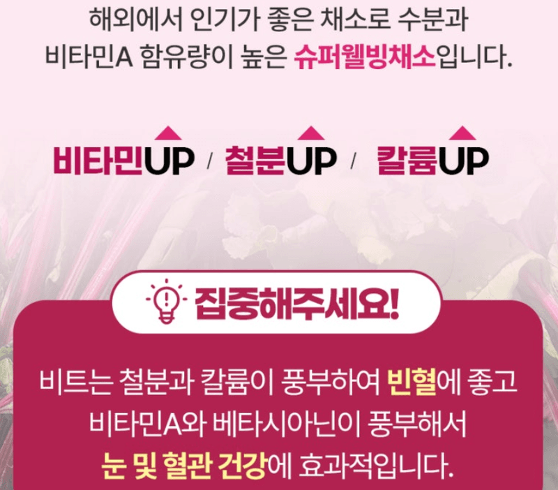 스피드번님의 장터 판매 상품 [제주 프리미엄 레드비트] 첨부 사진