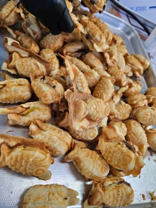 백용기님의 자유주제 · 자유게시판 작성글 사진