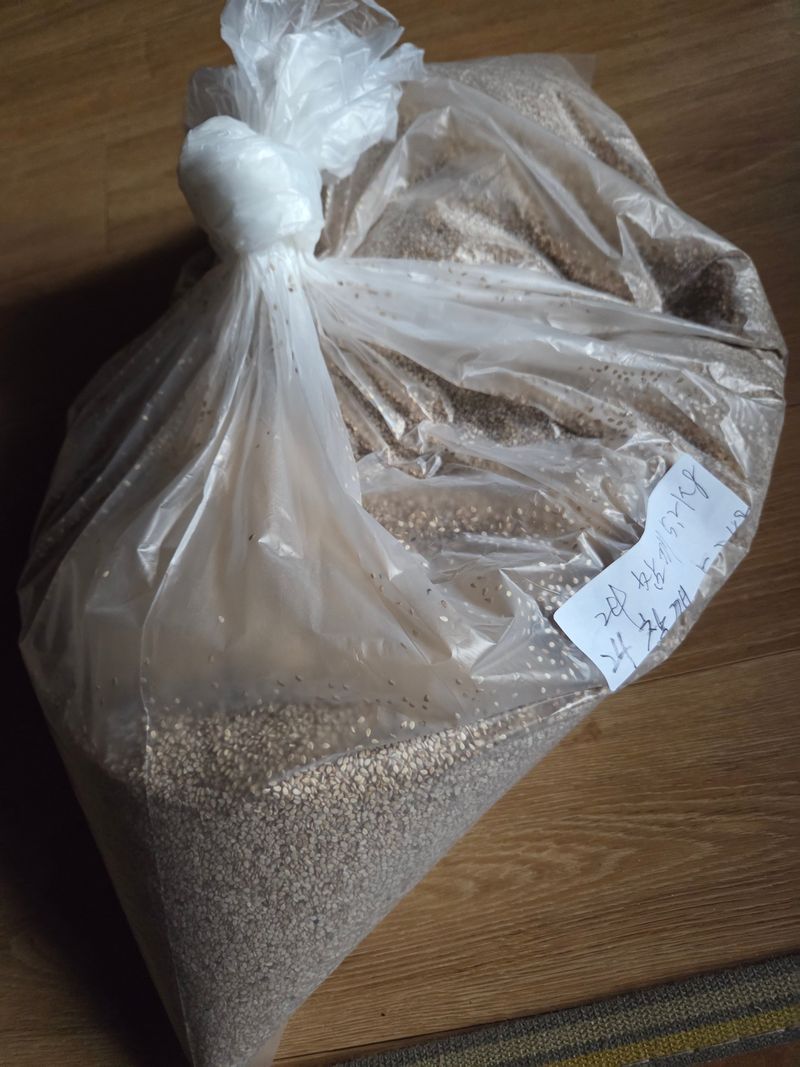 knlee님의 장터 판매 상품 [24년산 참깨 5kg 판매] 첨부 사진