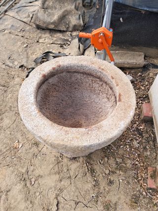 표고버섯18837님의 자유주제 · 자유게시판 작성글 사진