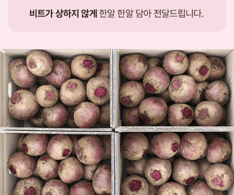 스피드번님의 장터 판매 상품 [제주 프리미엄 레드비트] 첨부 사진